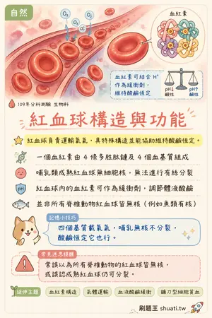 AI 記憶小卡