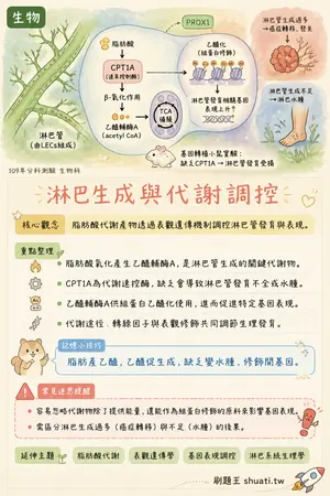 AI 記憶小卡