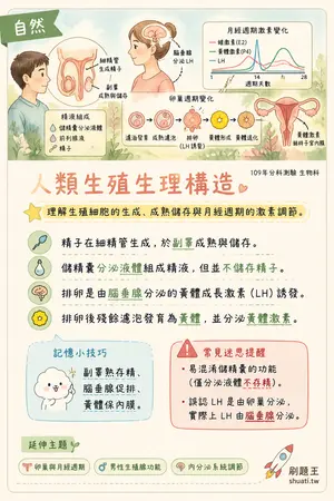 AI 記憶小卡