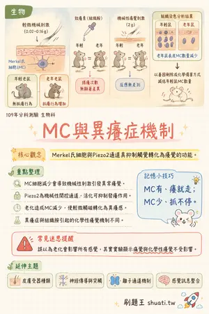 AI 記憶小卡