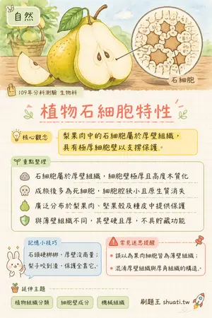 AI 記憶小卡