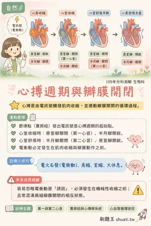 AI 記憶小卡