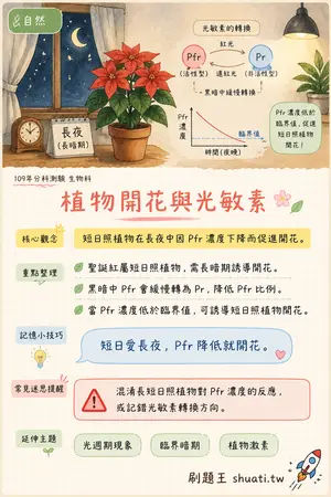 AI 記憶小卡