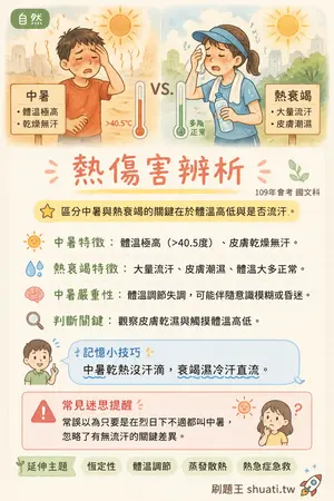AI 記憶小卡