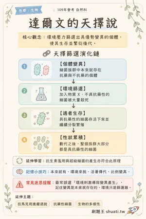 AI 記憶小卡