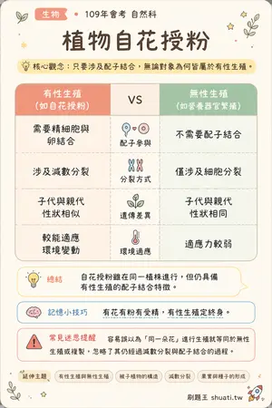 AI 記憶小卡