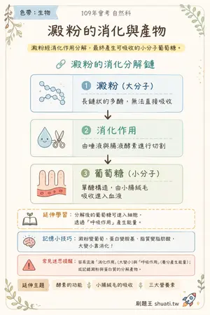AI 記憶小卡