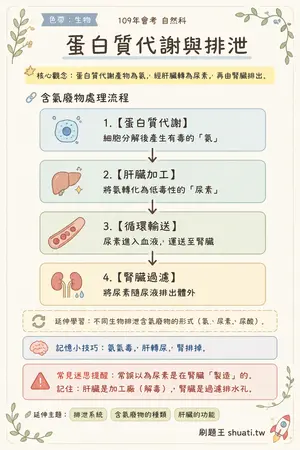 AI 記憶小卡