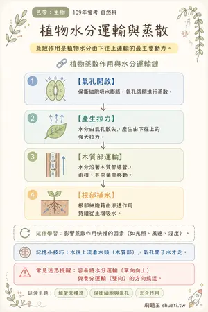 AI 記憶小卡