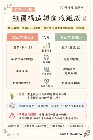 AI 記憶小卡