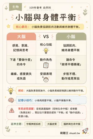 AI 記憶小卡