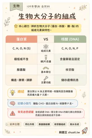 AI 記憶小卡