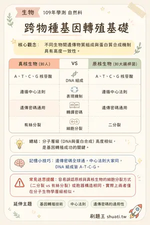 AI 記憶小卡