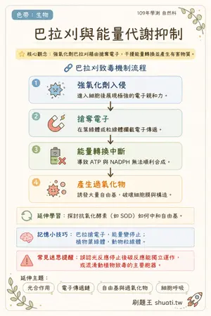 AI 記憶小卡
