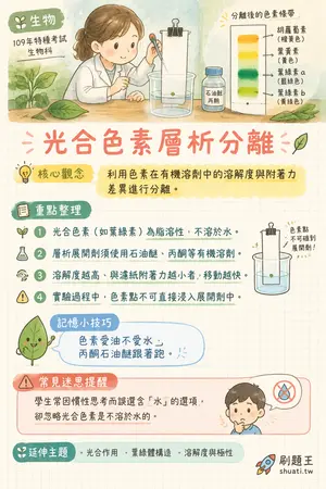 AI 記憶小卡