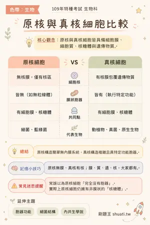 AI 記憶小卡