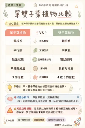 AI 記憶小卡