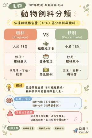 AI 記憶小卡