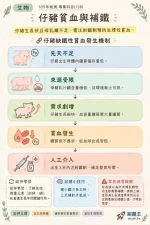 AI 記憶小卡