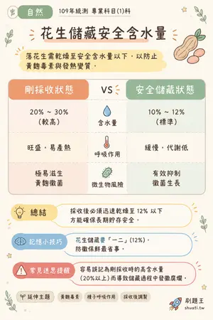 AI 記憶小卡