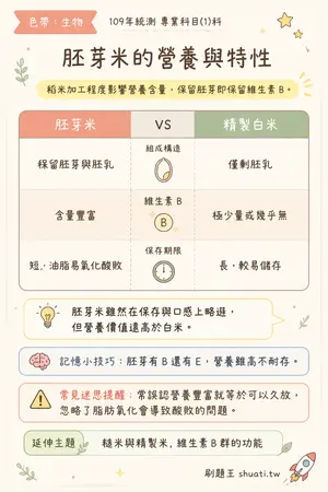 AI 記憶小卡