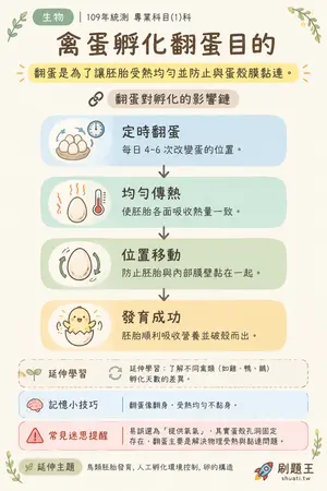 AI 記憶小卡