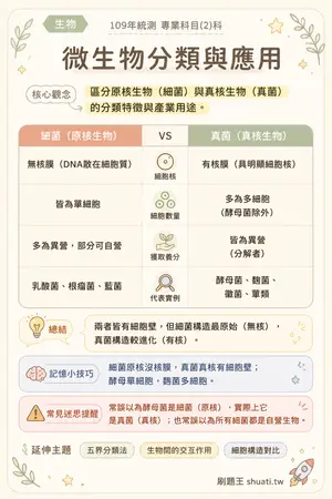 AI 記憶小卡