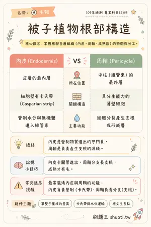 AI 記憶小卡