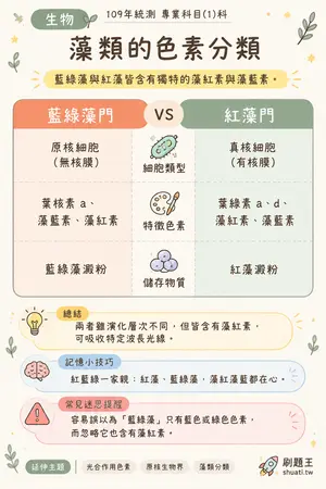AI 記憶小卡