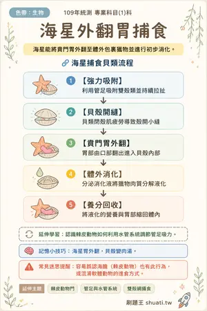 AI 記憶小卡