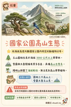 AI 記憶小卡