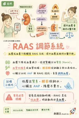 AI 記憶小卡