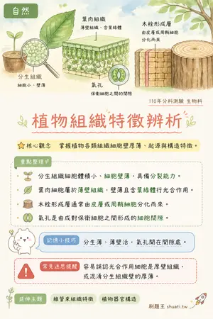 AI 記憶小卡
