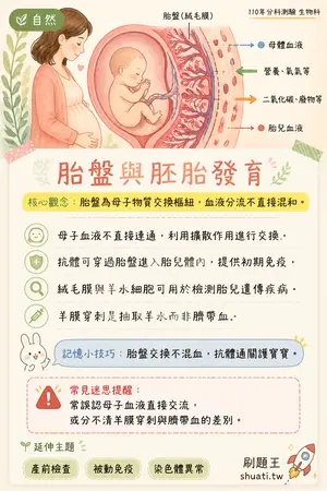 AI 記憶小卡