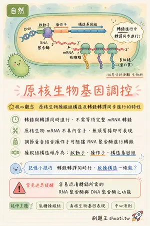 AI 記憶小卡