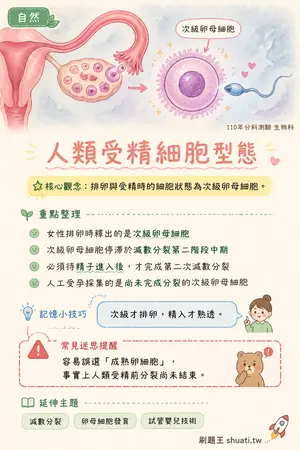 AI 記憶小卡
