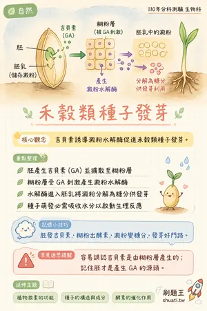 AI 記憶小卡