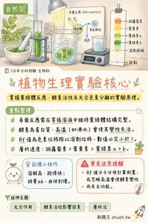 AI 記憶小卡