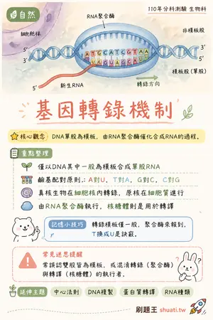 AI 記憶小卡