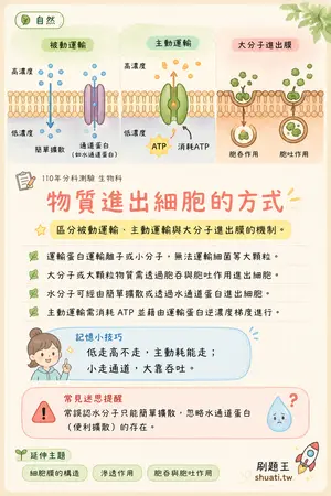 AI 記憶小卡