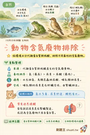 AI 記憶小卡