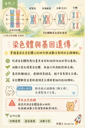 AI 記憶小卡