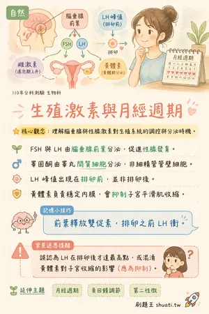 AI 記憶小卡