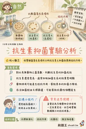 AI 記憶小卡
