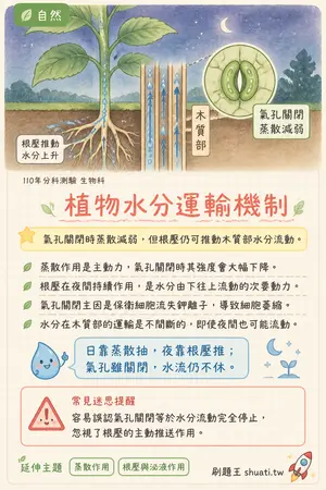 AI 記憶小卡