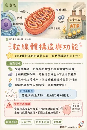 AI 記憶小卡