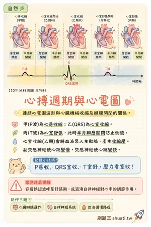 AI 記憶小卡