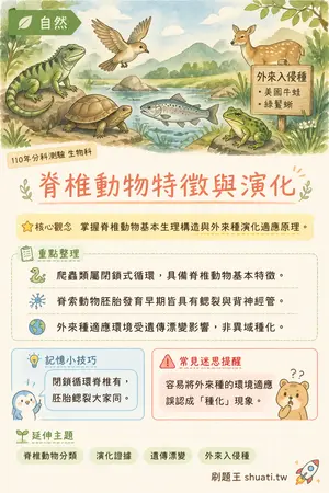 AI 記憶小卡