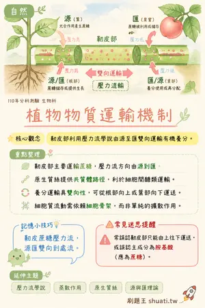 AI 記憶小卡