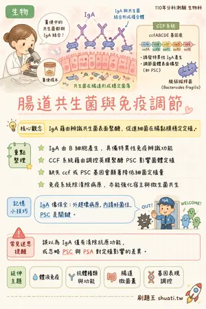 AI 記憶小卡